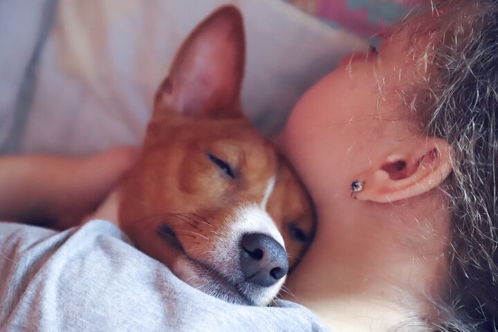 How Pets Help With Depression PetGuide