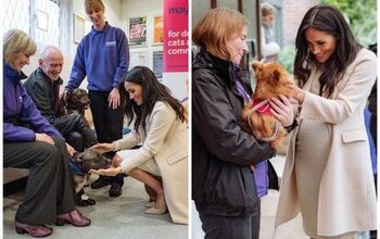 Meghan Markle Makes the Royal Rounds and Visits a London Animal Rescue