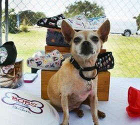 Skechers BOBS and The Petco Foundation Partner To Save Shelter Animals