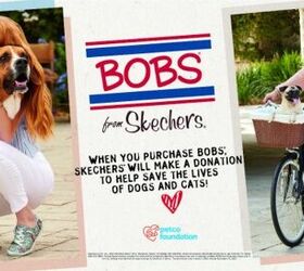 skechers bobs and the petco foundation partner to save shelter animals