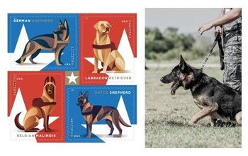 U.S. Postal Stamps To Feature Military Working Dogs