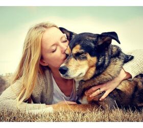 The Magic Is Real: Why Science Says You And Your Dog Love Each Other S