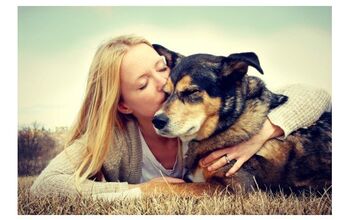 The Magic Is Real: Why Science Says You And Your Dog Love Each Other S