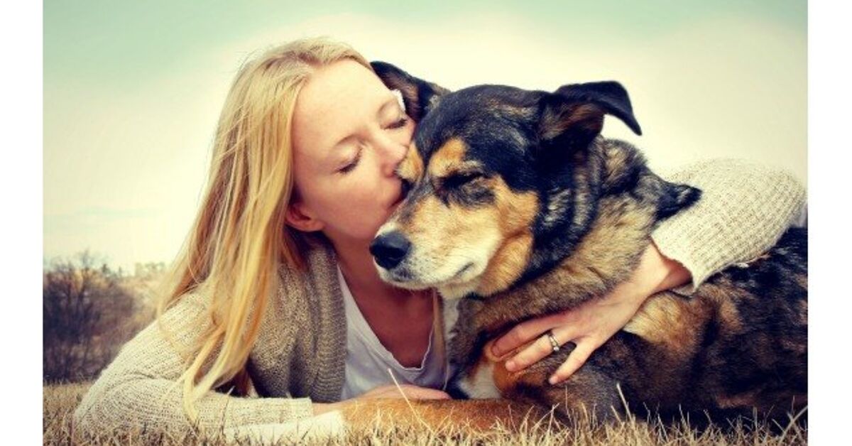 The Magic Is Real: Why Science Says You And Your Dog Love Each Other S | PetGuide The Magic Is Real: Why Science Says You And Your Dog Love Each Other S | PetGuide