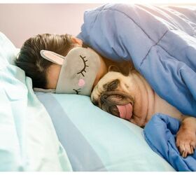 Survey Says Most People Prefer To Snuggle Their Pets Over Their Partne