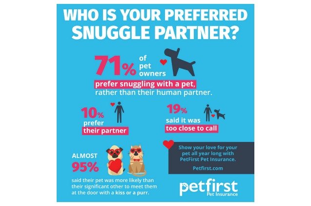 survey says most people prefer to snuggle their pets over their partne