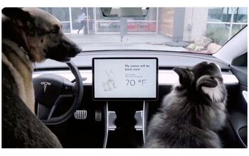 Tesla Rolls Out Dog Mode To Ensure Your Dog Stays Chill While Waiting 