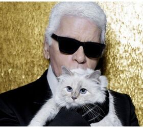 Fashion Icon Karl Lagerfeld Leaves Beloved Cat A Hefty Inheritance