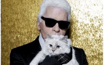 Fashion Icon Karl Lagerfeld Leaves Beloved Cat A Hefty Inheritance