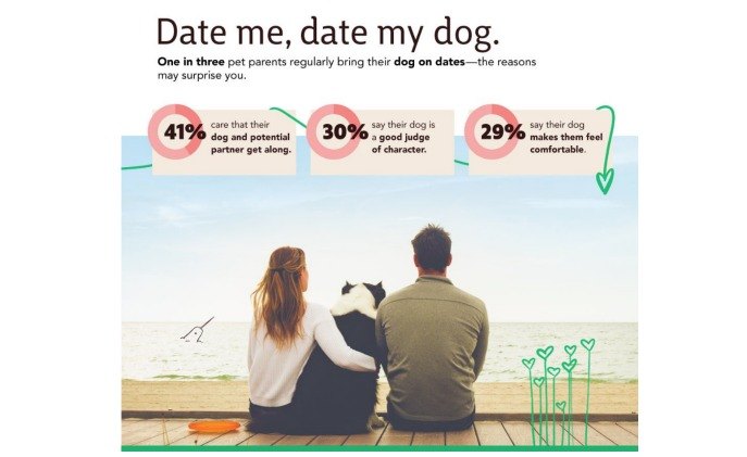 report shows pet parents prefer pics with their dogs over partners