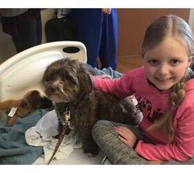 little girl with brain cancer wants dog mail for encouragement