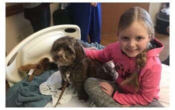Little Girl With Brain Cancer Wants Dog Mail For Encouragement
