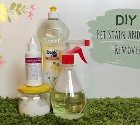 DIY Pet Stain and Odor Remover
