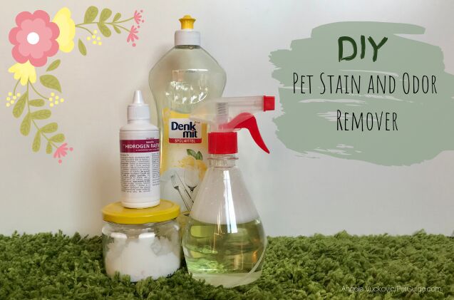 diy pet stain and odor remover
