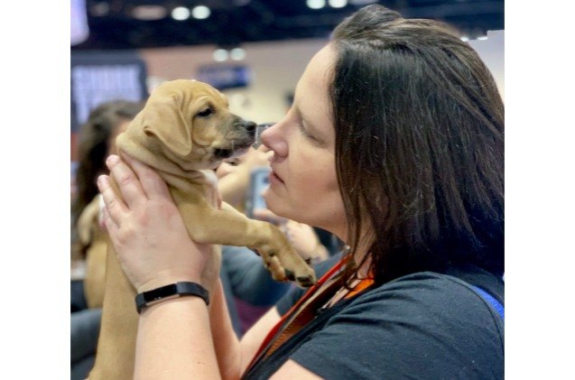 global pet expo 2019 day 1 a whole lot of awesome