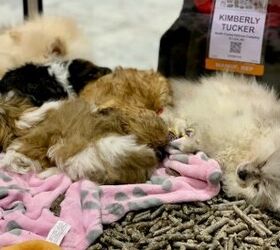 Global Pet Expo Day 3: Until Next Year