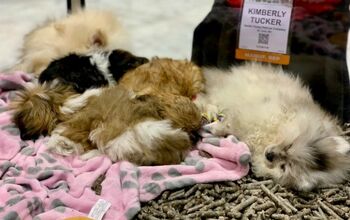 Global Pet Expo Day 3: Until Next Year