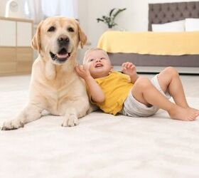Top 10 Dog Breeds for Autism
