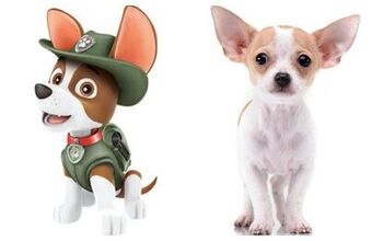 Which Member Of The Paw Patrol Is Right For Your Family?