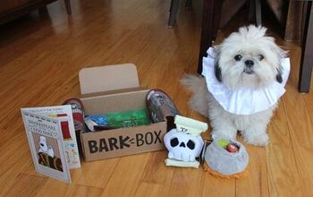 Product Review: BarkBox Monthly Subscription Box for Dogs