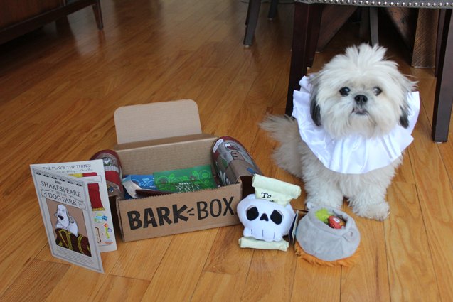 product review barkbox monthly subscription box for dogs