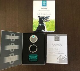 Product Review Animo Dog Activity and Behaviour Monitor PetGuide