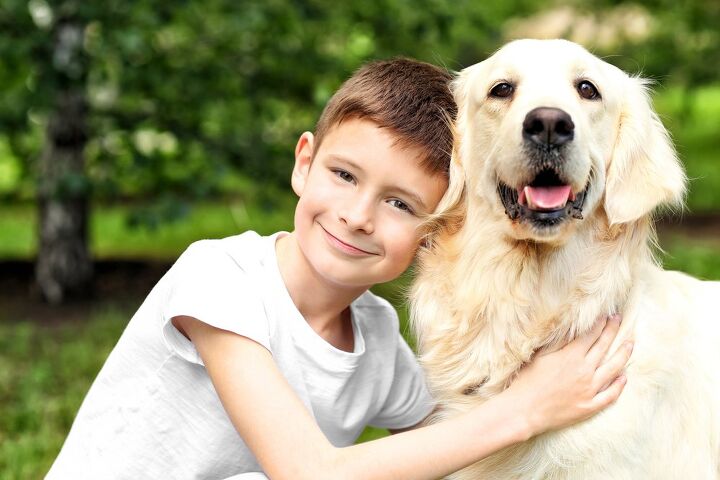 why you should take your kids to dog training classes