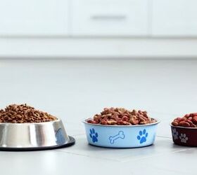 FDA Reveals These 16 Dog Food Brands Are Possibly Linked Linked to Hea