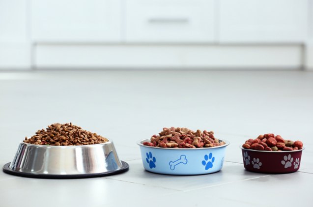 fda reveals these 16 dog food brands are possibly linked linked to heart disease