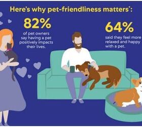 mars petcare names 25 cities as better cities for pets in north americ