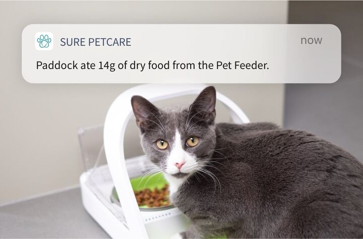 sure petcare microchip pet feeder connect is for perfect cat food port