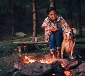 Tips for Camping Solo With Your Dog