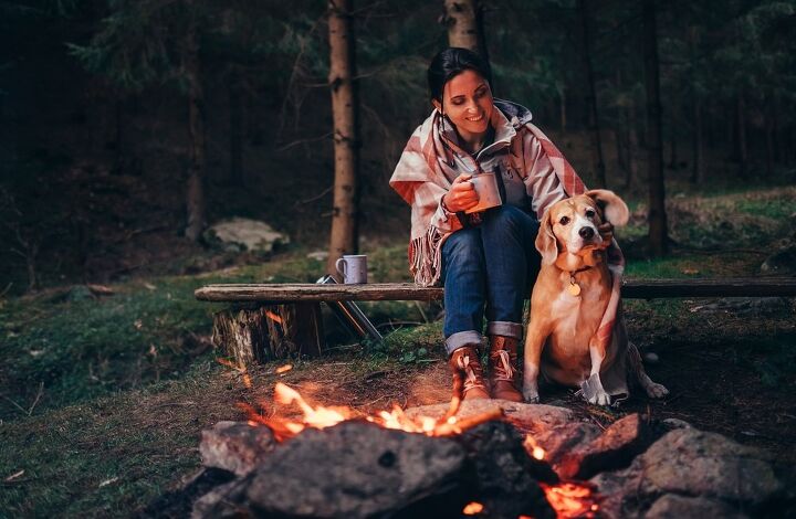 tips for camping solo with your dog