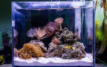 Our Guide to the Best Nano Tanks