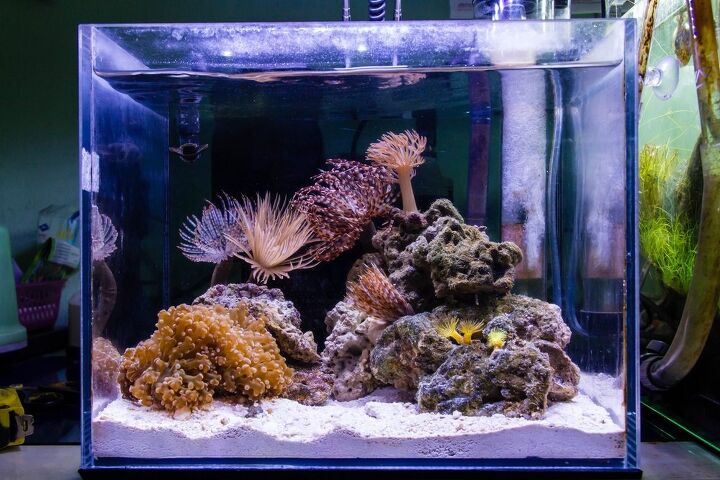 our guide to the best nano tanks