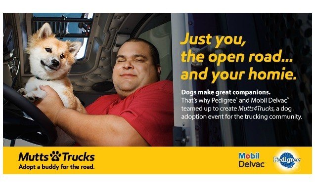 mutts4trucks pairs shelter dogs and truck drivers to hit the open road