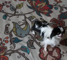 ruggable and dog pee