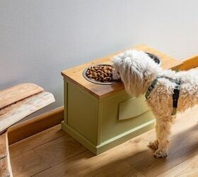 Should I Be Using an Elevated Bowl to Feed My Dog