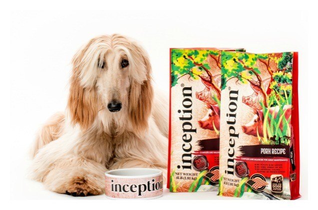 what is healthy dog food