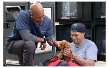 Street Vet Needs Your Help to Treat Pets of People Living on Californi
