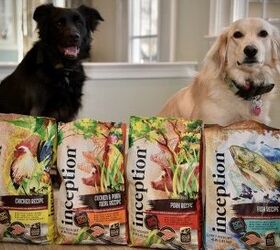 Inception Dog Food Review: Great Nutrition At A Great Price