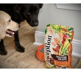 Inception Dog Food Review Great Nutrition At A Great Price PetGuide