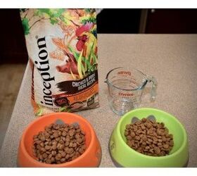 Inception Dog Food Review Great Nutrition At A Great Price PetGuide