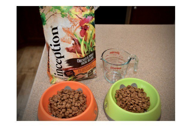 inception dog food review great nutrition at a great price