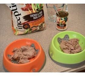 Inception Dog Food Review Great Nutrition At A Great Price PetGuide