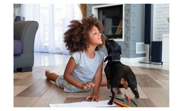 science proves it having a dog helps kids become better humans