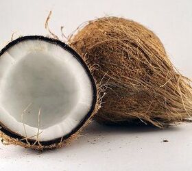 What Are The Benefits Of Coconut Oil For Dogs?
