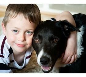 Study Suggests Pets Help Lower Family Stress Of Autism