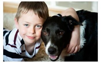 Study Suggests Pets Help Lower Family Stress Of Autism