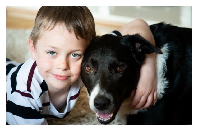 study suggests pets help lower family stress of autism
